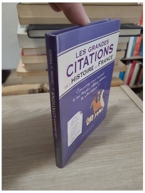 Les grandes citations de l'Histoire de France — Renaud Thomazo