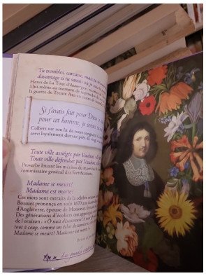 Les grandes citations de l'Histoire de France — Renaud Thomazo