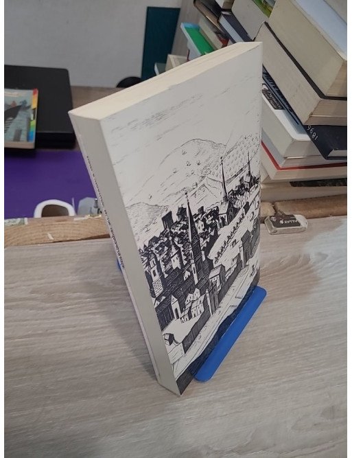 Les hôtels particuliers d'Aix-en-Provence - René Borricand