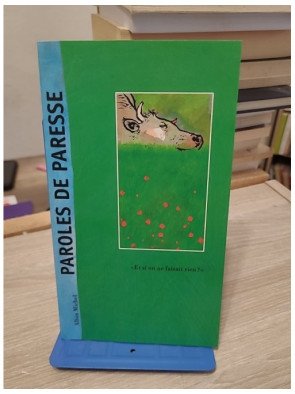 Paroles de paresse - « Et si on ne faisait rien ? » — Michel Piquemal