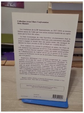L'Internationale communiste contre le capital, 1919-1924 ou comment empoigner l'adversaire capitaliste ?
