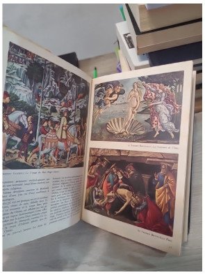 Histoire de la peinture de Giotto à Cézanne – Michael Levey