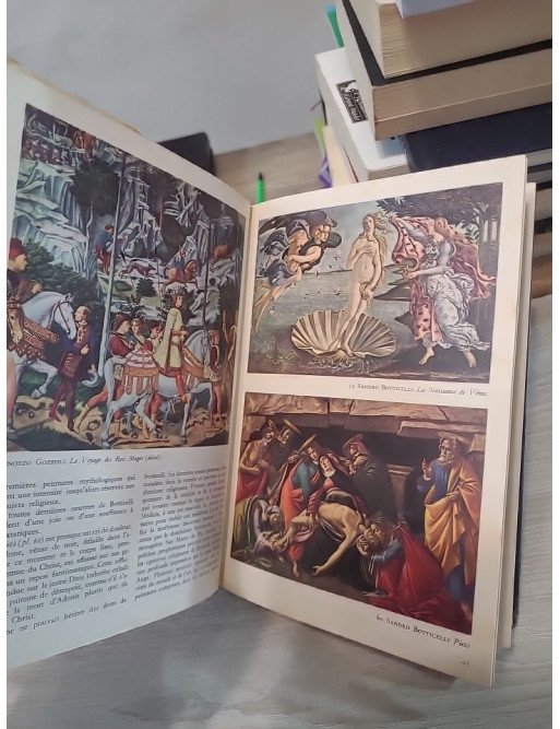 Histoire de la peinture de Giotto à Cézanne – Michael Levey