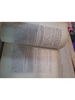 Histoire de l'Église du Mans – Louis Calendini