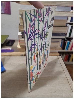 Le Petit Poucet – édition Charpentier