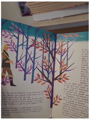 Le Petit Poucet – édition Charpentier