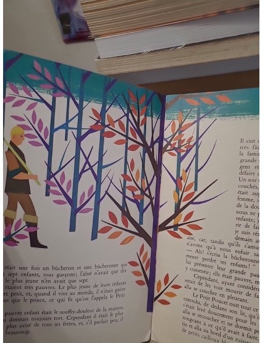 Le Petit Poucet – édition Charpentier