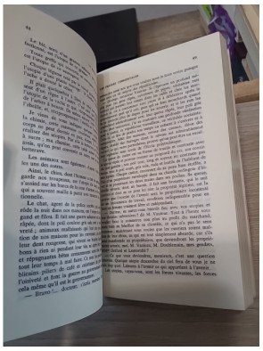 La Marmite libératrice ou le Commerce transformé