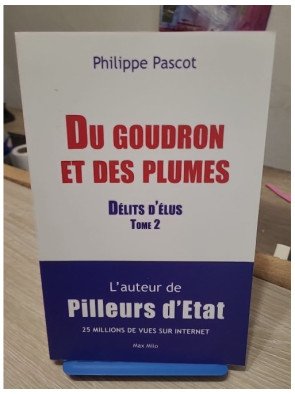 Du goudron et des plumes – Délits d'élus – Tome 2 – Philippe Pascot
