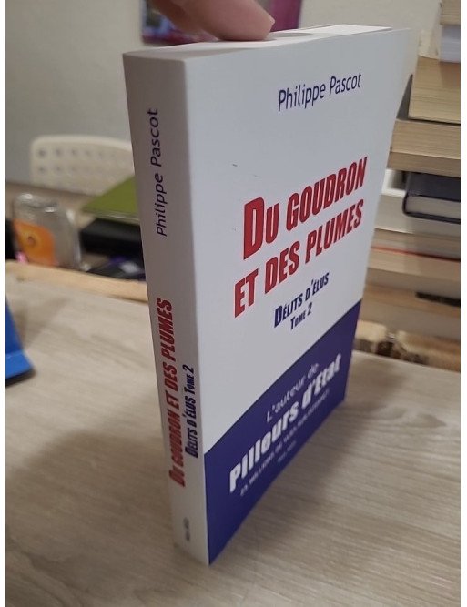 Du goudron et des plumes – Délits d'élus – Tome 2 – Philippe Pascot