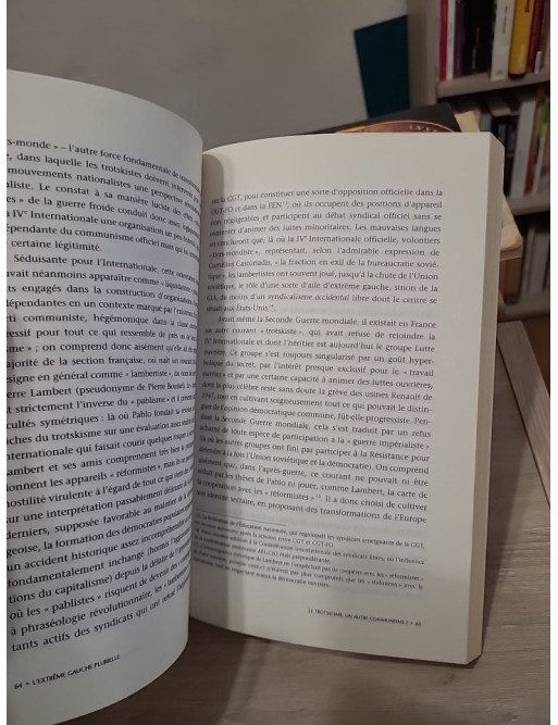 L'Extrême Gauche plurielle - Entre démocratie radicale et révolution, Philippe Raynaud