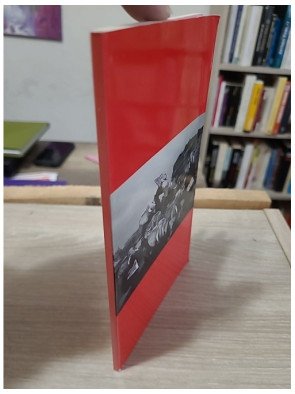 La désobéissance civile