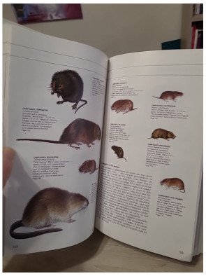 Guide des animaux des champs et des bois - Collectif