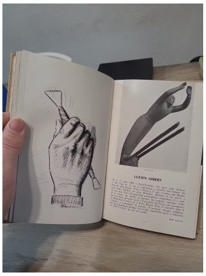 Les Peintres témoins de leur temps VI : Le Sport – Collectif