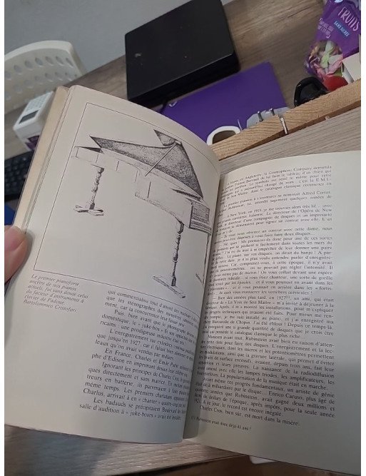 Arthur Rubinstein ou l'amour de Chopin – Éric Lipmann