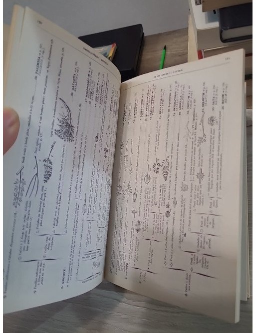 Flore complète portative de la France, de la Suisse et de la Belgique - Gaston Bonnier