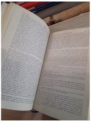 Mexique, Guatemala (Guide Bleu) - Robert Boulanger