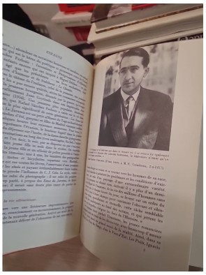 Les littératures contemporaines à travers le monde