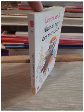 Alice au pays des merveilles