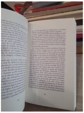 Les Contreforts – Guillaume Sire