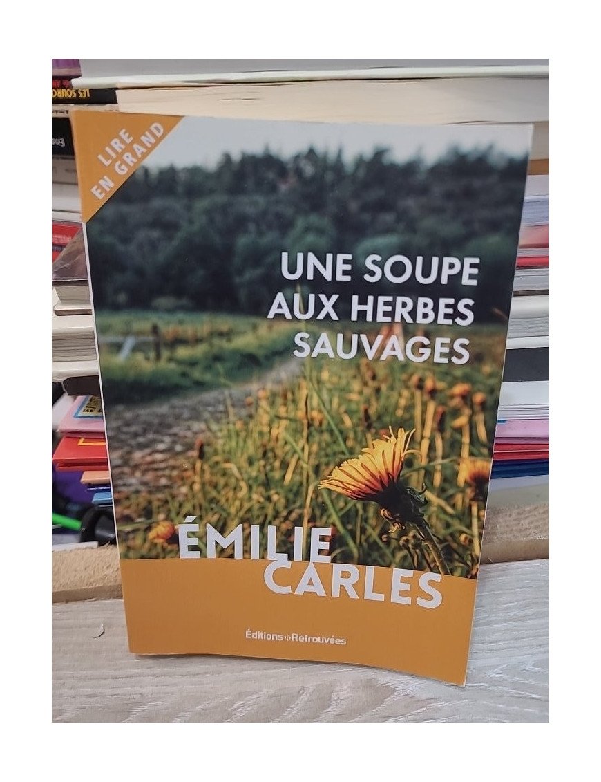 Une soupe aux herbes sauvages – Émilie Carles