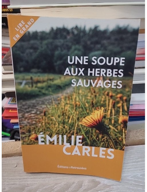 Une soupe aux herbes sauvages – Émilie Carles