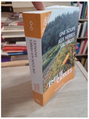Une soupe aux herbes sauvages – Émilie Carles