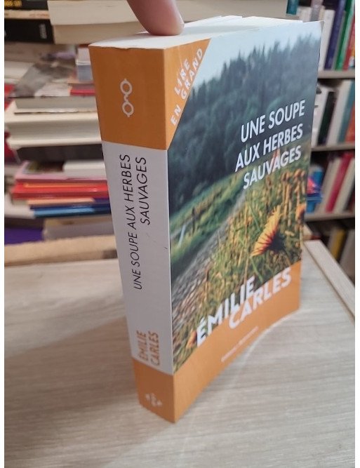 Une soupe aux herbes sauvages – Émilie Carles