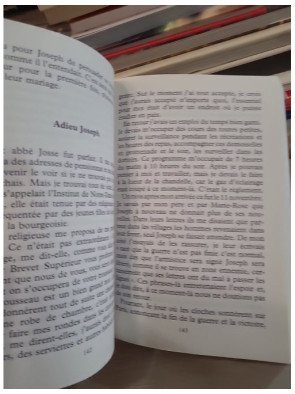 Une soupe aux herbes sauvages – Émilie Carles