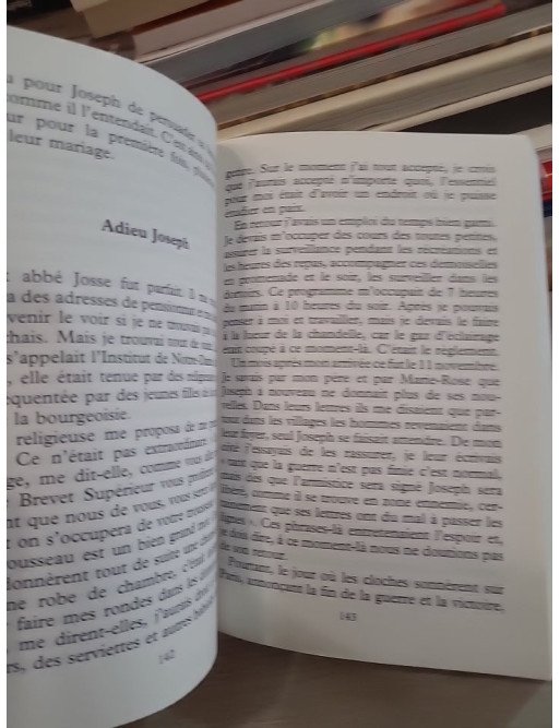 Une soupe aux herbes sauvages – Émilie Carles