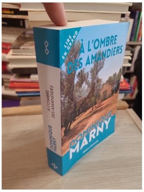 A l'ombre des amandiers - Dominique Marny