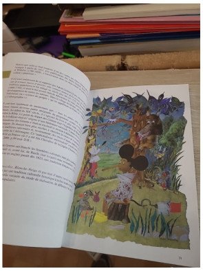 Astérix non violent - Dominique Bouchet