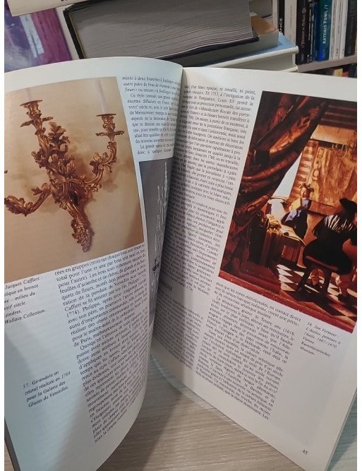 Antiquités & Objets d'art N°28 : Lustres, Lampes et Lampadaires - Silvia Evangelisti