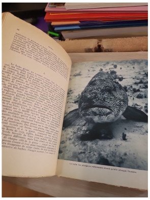 Expédition « Moana » (le tour du monde de l'exploration sous-marine) - Bernard Gorsky