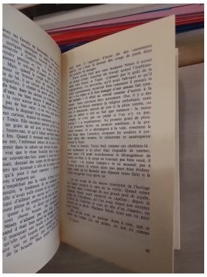 Quartier trois-lettres. Roman réunionnais