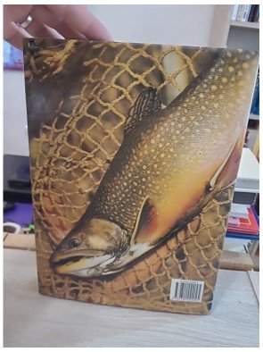 Poissons et pêcheurs