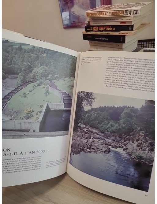 Poissons et pêcheurs