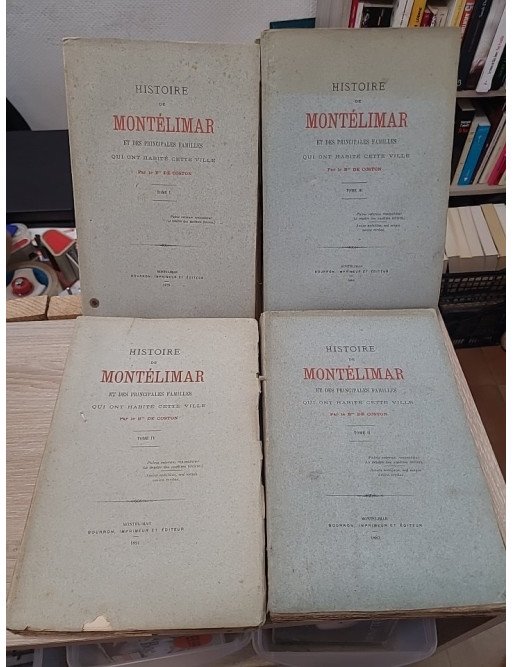 Histoire de Montélimar et des principales familles qui ont habité cette ville de Bn de Coston