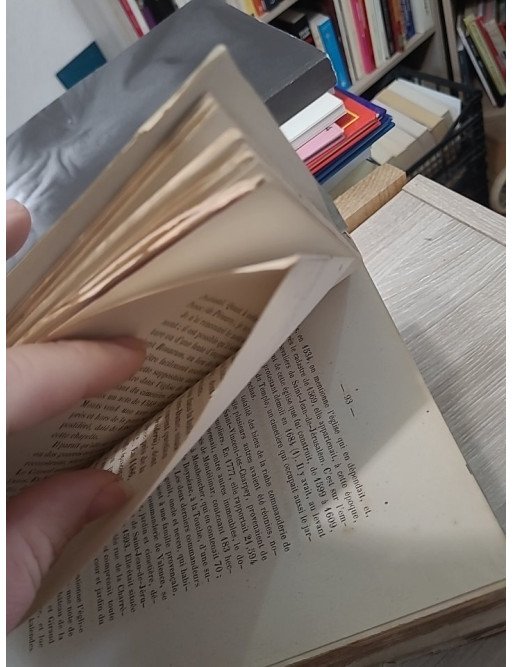 Histoire de Montélimar et des principales familles qui ont habité cette ville de Bn de Coston