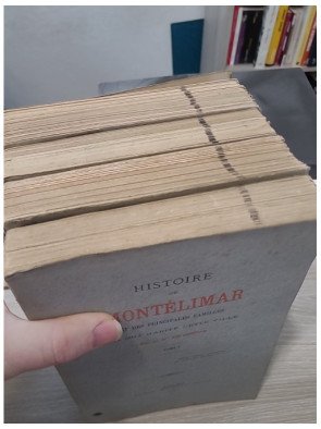 Histoire de Montélimar et des principales familles qui ont habité cette ville de Bn de Coston