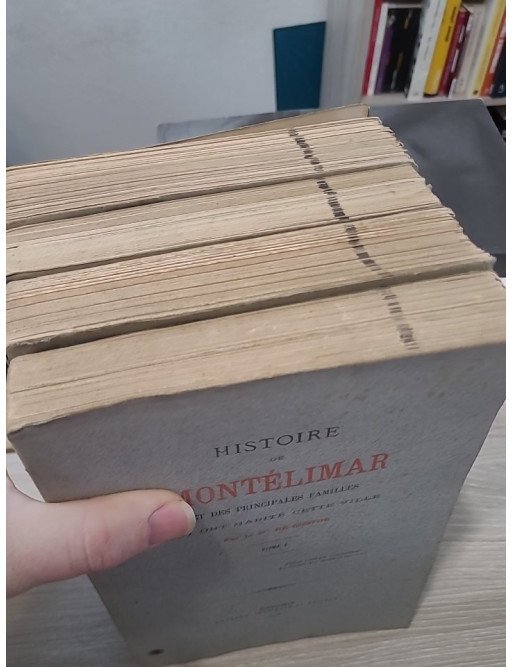 Histoire de Montélimar et des principales familles qui ont habité cette ville de Bn de Coston