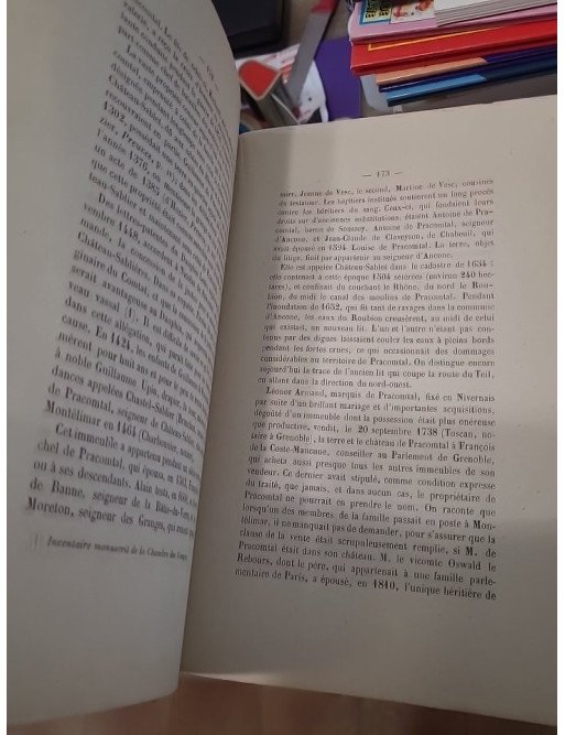 Histoire de Montélimar et des principales familles qui ont habité cette ville de Bn de Coston