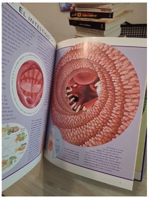 Viaje increíble por el cuerpo humano - Nicholas Harris