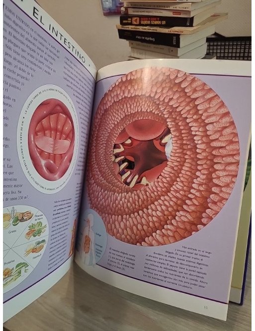 Viaje increíble por el cuerpo humano - Nicholas Harris