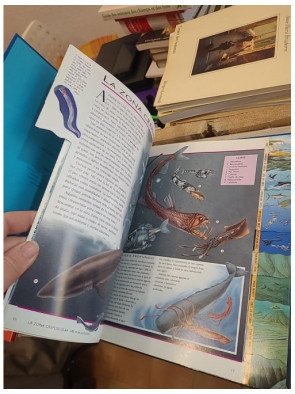 Viaje increíble al fondo del mar (édition en espagnol) - Nicholas Harris