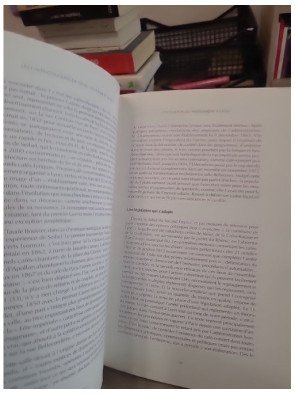 Le café-concert à Lyon - XIXe-début XXe siècle - Jean-Luc Roux