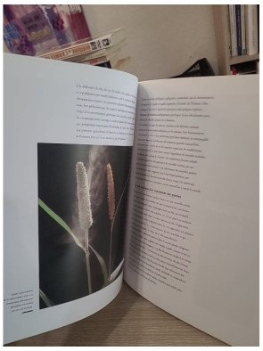 Le jardin du futur - Michel Vilain, Philippe Ledieu