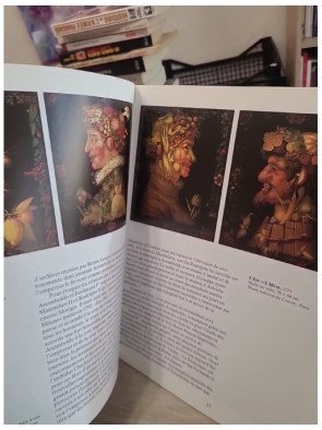 Giuseppe Arcimboldo - Werner Kriegeskorte