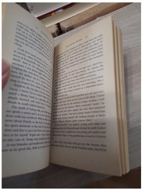 The Hotel Riviera - Elizabeth Adler ( livre en anglais)