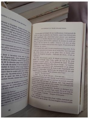 Chaveta - L'arche d'or des Incas - Jéromine Pasteur